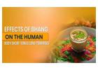 Effects of Bhang | Know the Health Impact