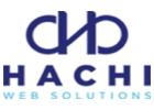 Website Design Agency in Singapore- Hachi Web Solutions