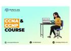 Job-Ready Skills with Expert-Led CCNA and CCNP Course