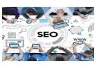 Hire Best SEO Company in Delhi for SEO Services for Small Businesses