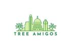 Tree Removal Austin TX | Safe and Affordable Services
