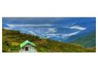 North Bengal Tour Packages for a Perfect Escape into Nature