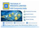 Top GIS Companies India – Reliable Geospatial Solutions