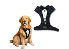 Waggety Tuxedo for Dogs - Classic Formal Wear for Your Stylish Pup