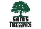 Sonoma County Tree Removal