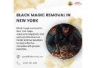 Best Black Magic Removal in New York By Pandit Krishna Sai