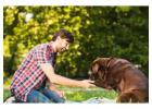 Dog Trainer in Nagpur
