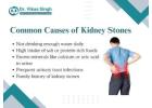 Endoscopic Kidney Stone Surgery Indore: What to Expect