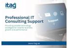 Professional IT Consulting Support for Business Growth