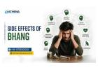 Side Effects of Bhang You Should Know Today