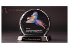 Premium Crystal Trophies for Elegant Award Ceremonies
