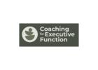 Private Coaching For Professionals Navigating Complexity And Performance Pressure