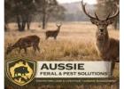Trusted Feral Animal Control NSW Services for Complete Pest Management Solutions