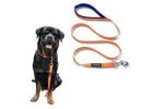 Premium Dog Collars and Leashes by Waggety for Daily Walks