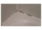 Reliable Grout Restoration Tampa for Fresh Surfaces