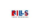 Tree Service Rochester Affordable Local Tree Specialists