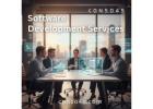 software development services