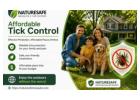 Affordable Tick Control Services | Safe & Effective Protection