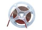 LED Strip Light Wholesaler – Bulk Supply & Reliable Quality