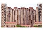 Amrapali Golf Homes | Affordable Flats with Modern Lifestyle