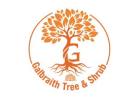 24/7 Emergency Tree Service in Geneseo