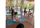 Transform Your Life with Professional Yoga Teacher Training