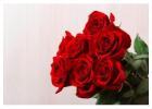 Rose Flower Bouquet | Elegant & Fresh Floral Arrangements