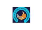 Best Placement Consultant in Bhadohi - Bhadohi Job Placement Consultant