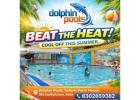 Dolphin Pools – Best Water Park in Kota | Swimming Classes in Kota | Pool Party Venues in Kota