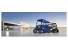 4 and 6 Seat Golf Cart Rentals for AMI