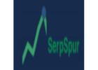 Serpspur – Advanced SEO Tool for Website Rankings & Traffic Growth