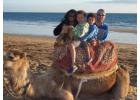 Luxury Family Tour Morocco for Memorable Holidays