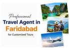 Professional Travel Agent in Faridabad for Customized Tours