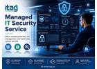 Hire Managed IT Support Company Dubai for Daily Operations