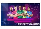 Enjoy Nonstop Sports Action with Diamond Exchange ID