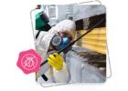 Dubai SEO Company for Pest Control Businesses | Get More Local Leads
