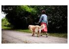 Dog Walkers in Delhi