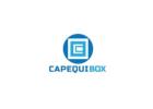 Eco-Safe Fire-Resistant Hydraulic Oil for Heavy Industry Distributed by Capequibox
