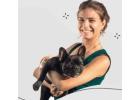 Top Dog Sitters Los Angeles CA: West Coast Paws