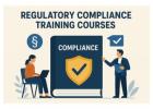 Elevate Your Compliance Knowledge Online