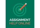 Professional Essay Writing and Online Class Completion Service |