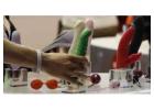 Monsoon Sale on Sex Toys in Delhi Vibrators, Dildos & More!