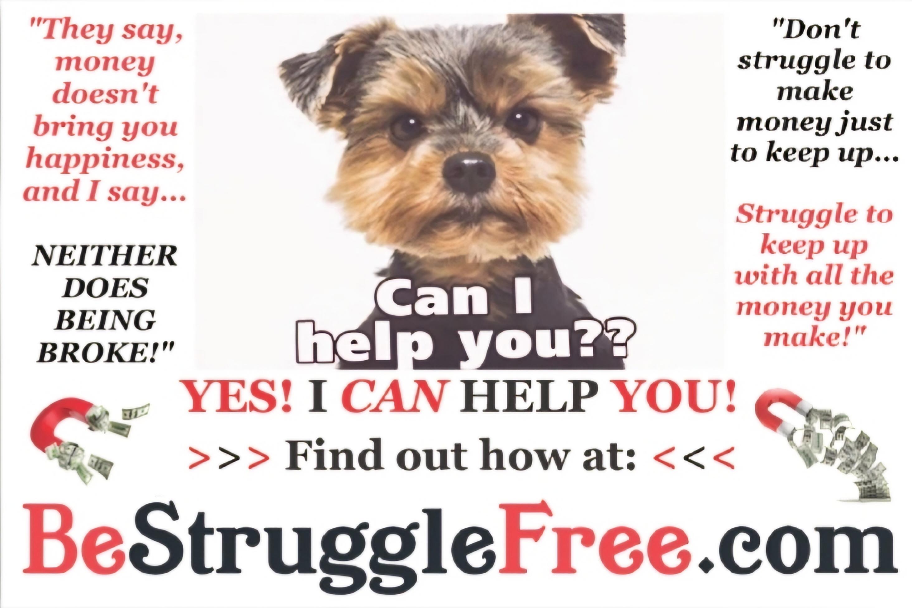 Earn Big MONEY
