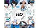 Grow Your Agency with Reseller SEO India