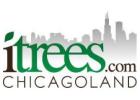 Elm Tree Naperville
