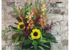 Same Day Flower Delivery coburg North