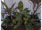There Are Very Few Décor Moves As Smart As Faux Plants–