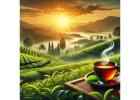 Order Silver Tips Imperial Full Moon Tea – Luxury Tea | Makaibari Tea USA