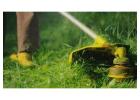Top-Rated Lawn Mowing Kingsford – Affordable & Reliable Care
