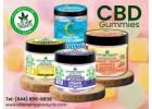 CBD Gummies That Make Every Day Better